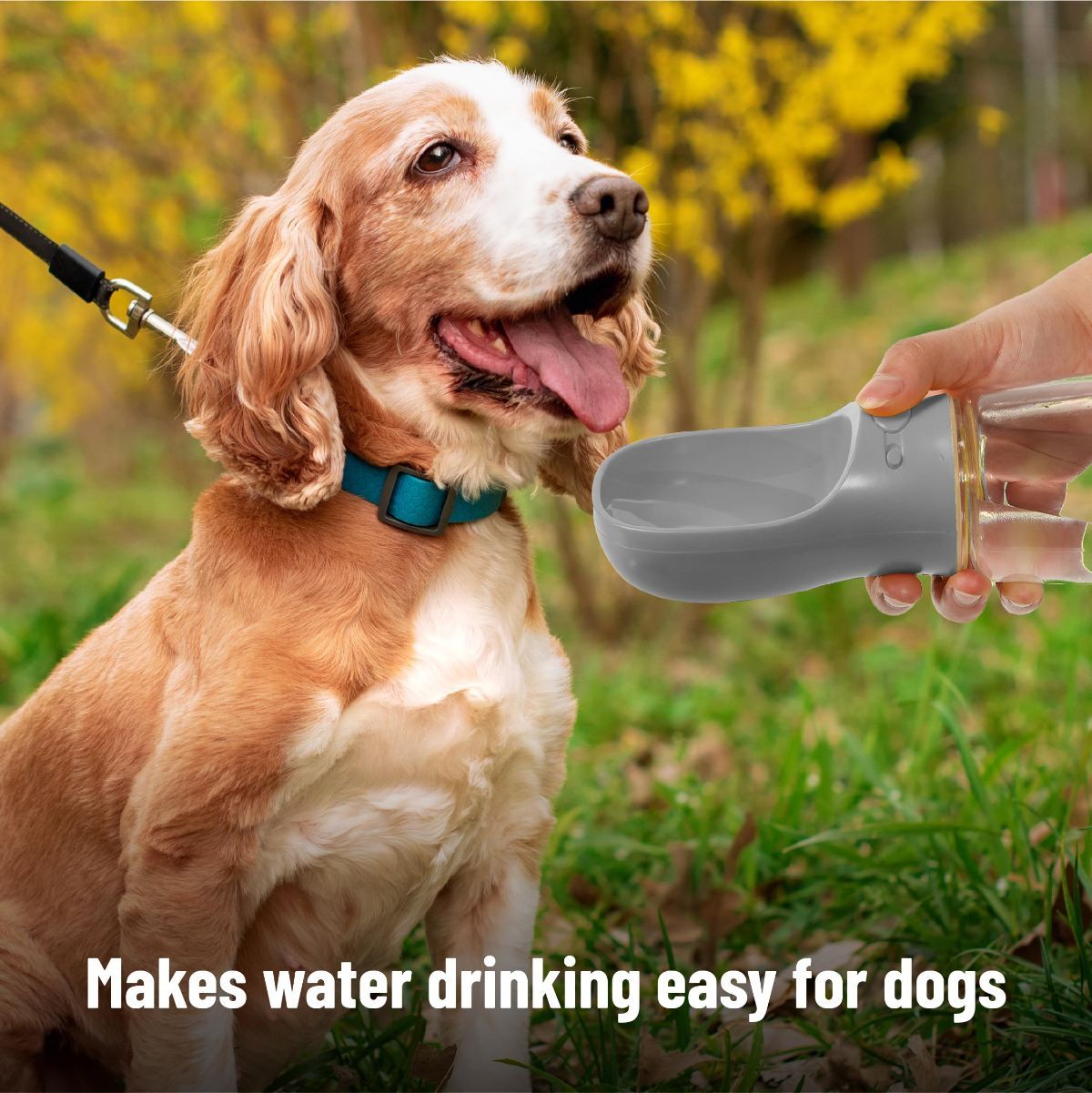 Portable Dog Water Bottle 19 Ounces Dog Water Bottle Large Dog Water Dispenser