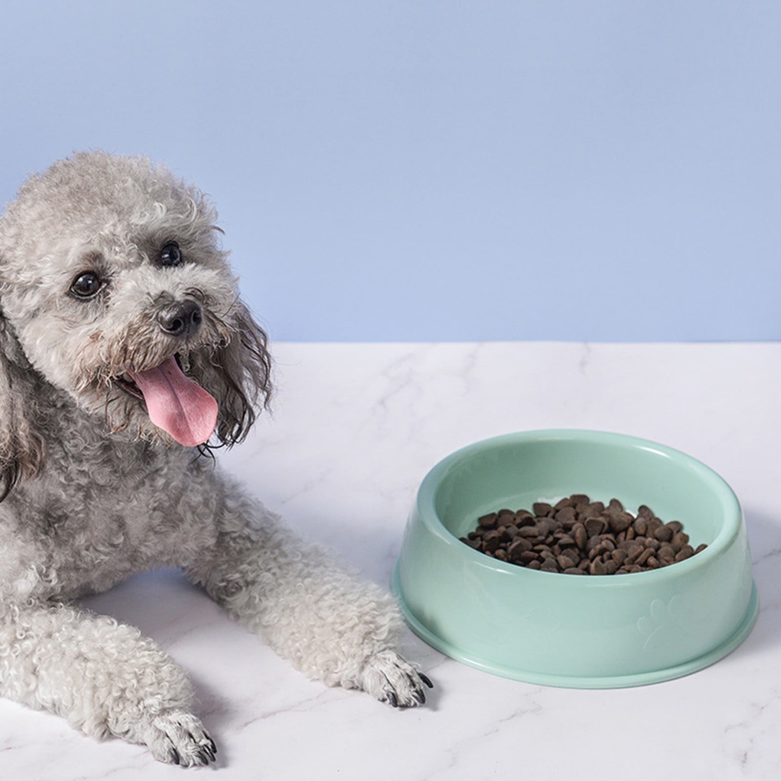 Plastic Dog Bowl, Non Slip Candy Color Plastic Pet Food Bowl, Shallow Cat Food Dish, Reusable Pet Food And Water, Green, 13.2 x 5 x 13 cm