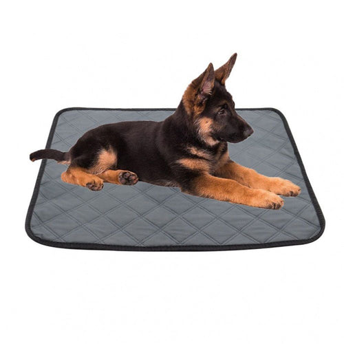 2 pack Washable Pee Pads for Dogs, Reusable, Absorbent, Leakproof, Non Slip Pet Puppy Pads for Potty Training. Light Gray, 23.6x35.4 Inch(2pack)