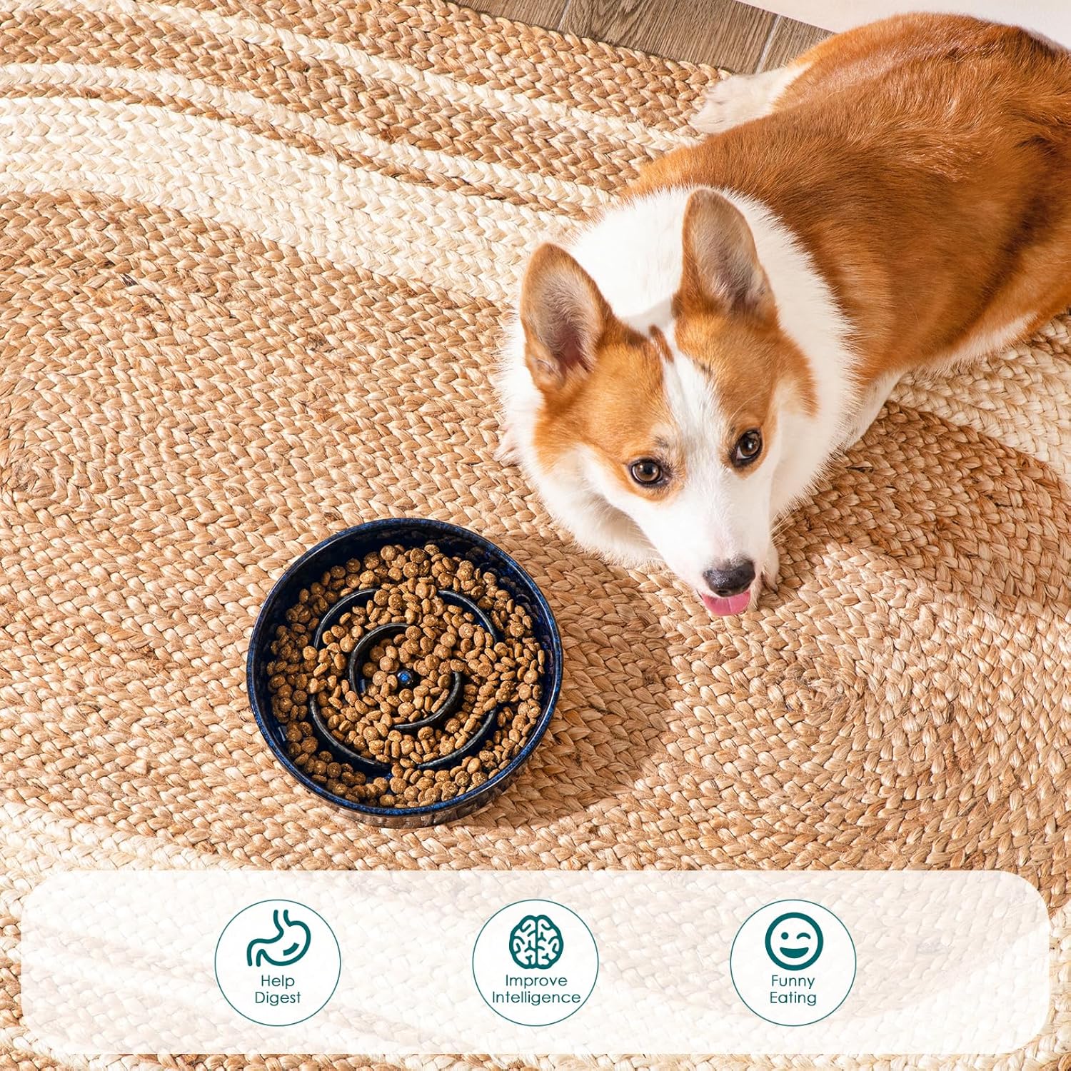 Slow Feeder Dog Bowl, 1.5 Cups Ceramic Slow Feeder for Medium Breed, Puzzle Maze Dog Food Bowl for Fast Eater, Blue