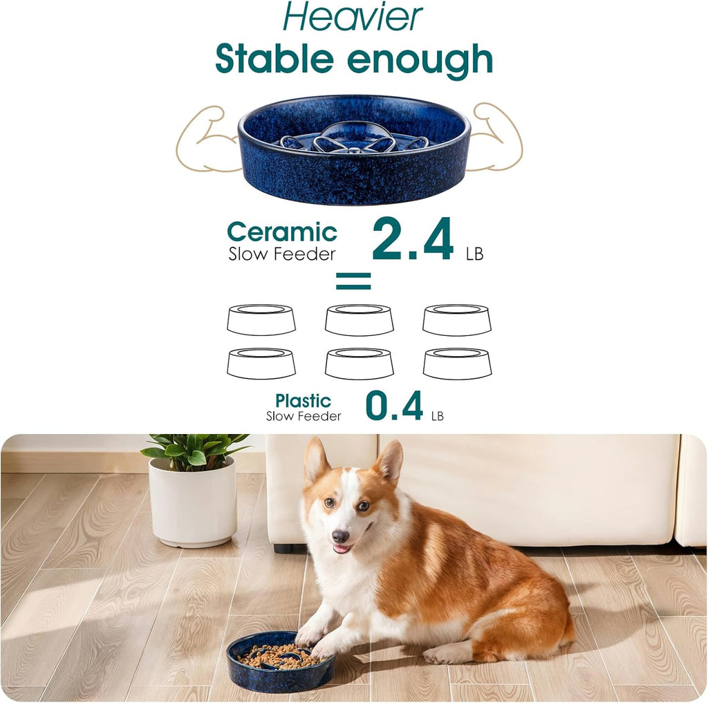 Slow Feeder Dog Bowl, 1.5 Cups Ceramic Slow Feeder for Medium Breed, Puzzle Maze Dog Food Bowl for Fast Eater, Blue