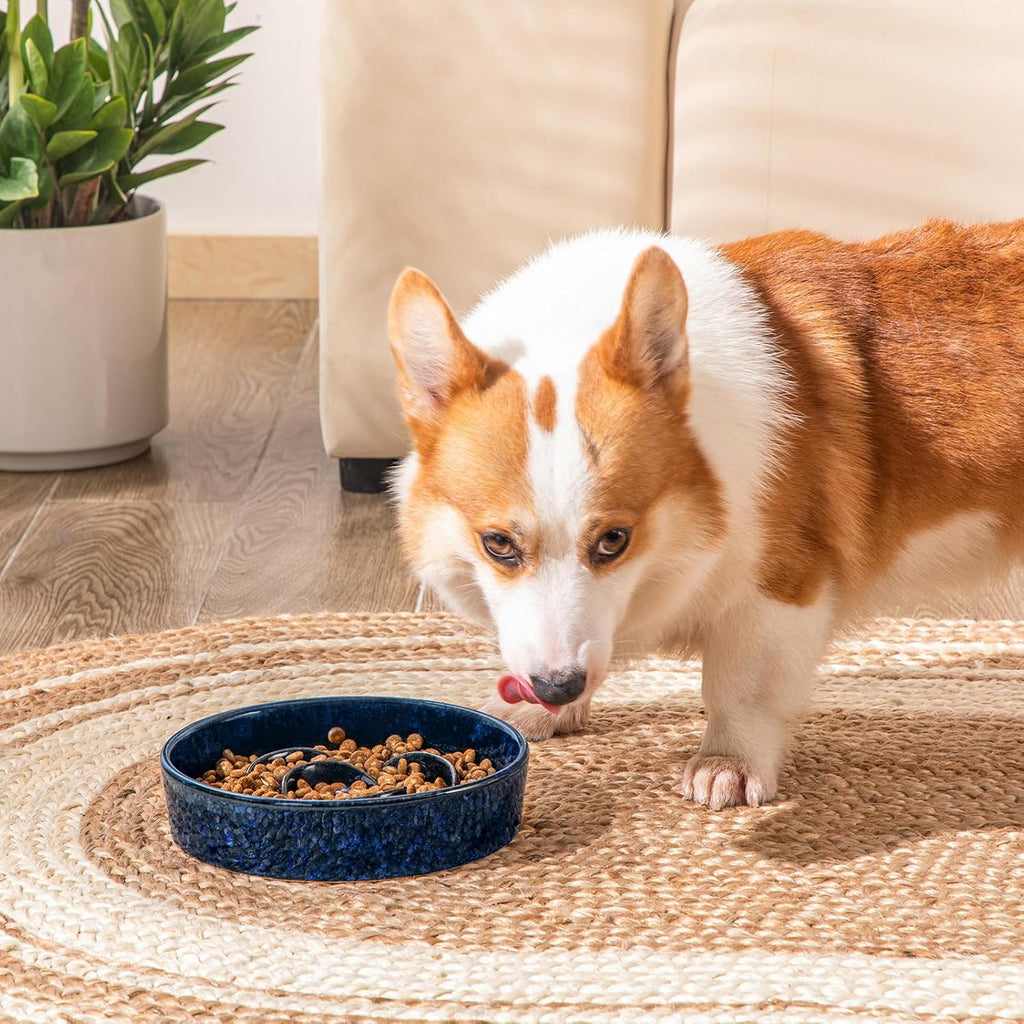 Slow Feeder Dog Bowl, 1.5 Cups Ceramic Slow Feeder for Medium Breed, Puzzle Maze Dog Food Bowl for Fast Eater, Blue