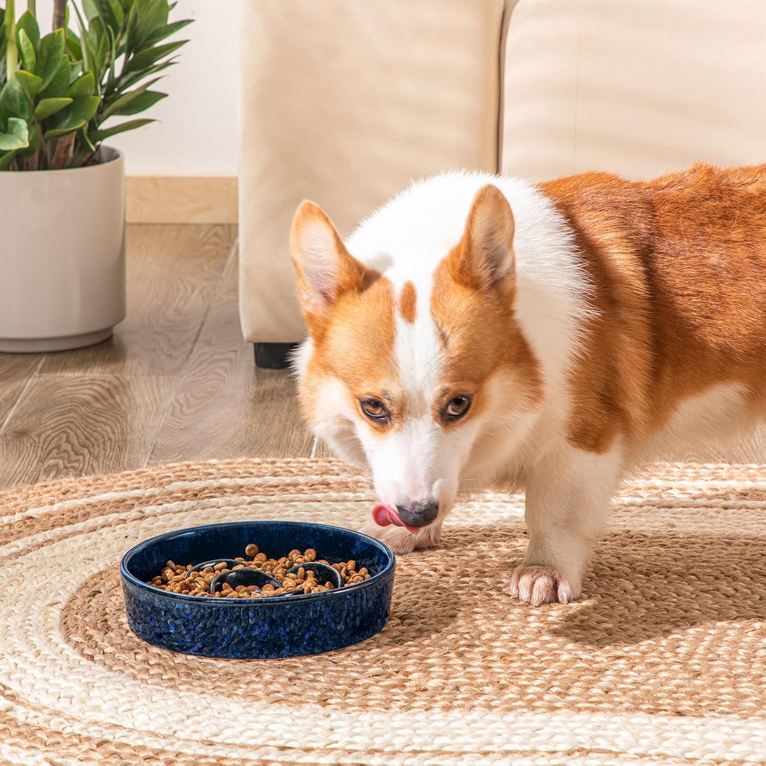 Slow Feeder Dog Bowl, 1.5 Cups Ceramic Slow Feeder for Medium Breed, Puzzle Maze Dog Food Bowl for Fast Eater, Blue