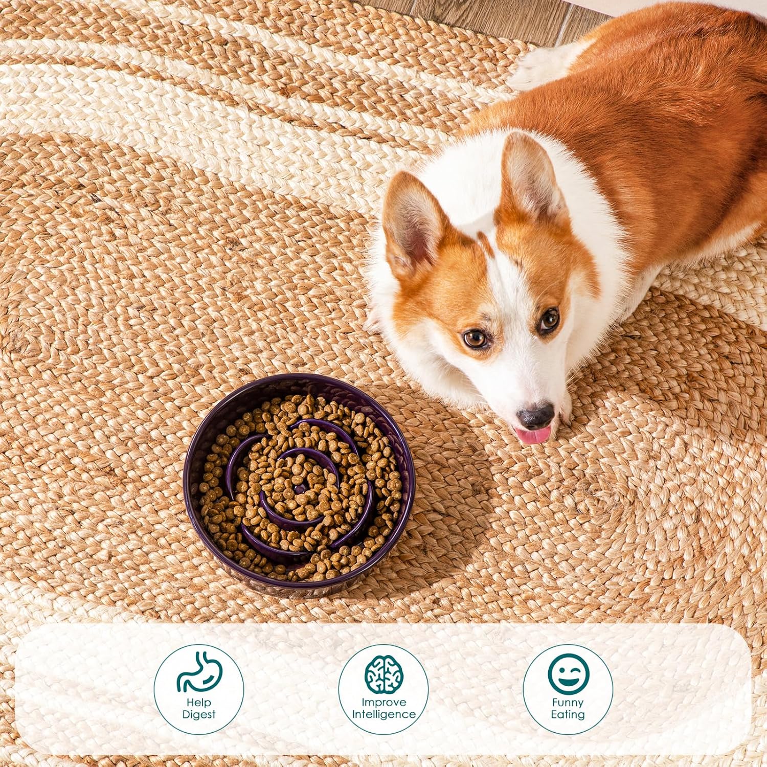 Slow Feeder Dog Bowl, 1.5 Cups Ceramic Slow Feeder for Medium Breed, Puzzle Maze Food Dog Bowl for Fast Eater, Dark Purple