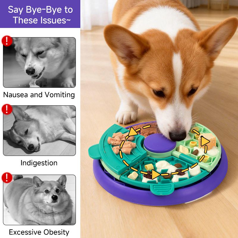 3-in-1 Pet Puzzle Slow Feeder Bowl with Multi-Level Rotating Disk - Purple-green