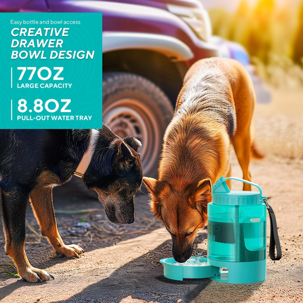 Portable Pet Water Bottle with Built-in Bowl – Leak-Proof, Large Capacity 77oz for Camping, Hiking, and Dog Park Adventures – Ideal for Small to Medium Breeds, Easy to Carry Outdoor Dog Travel Dispenser (Black)