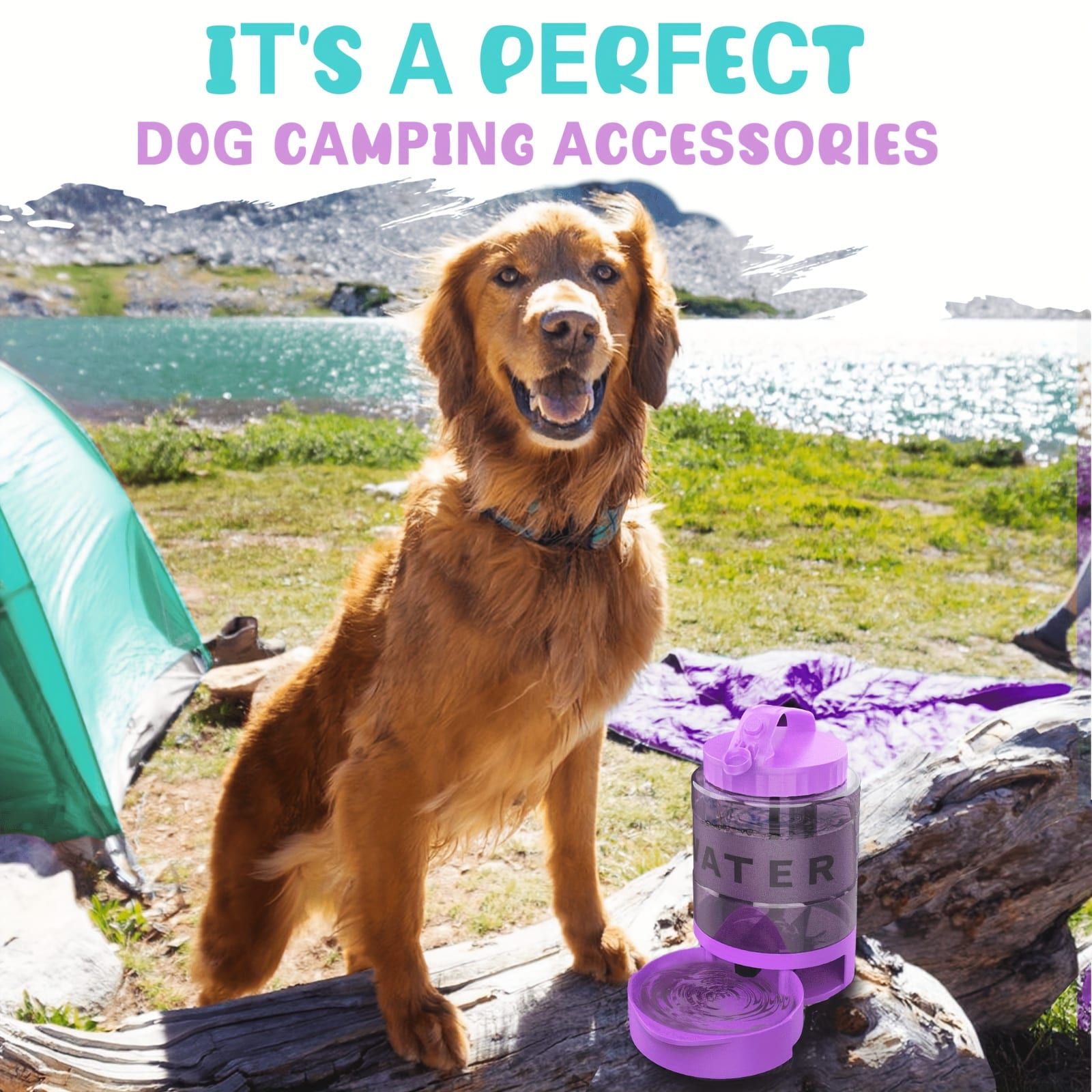 Portable Pet Water Bottle with Built-in Bowl – Leak-Proof, Large Capacity 77oz for Camping, Hiking, and Dog Park Adventures – Ideal for Small to Medium Breeds, Easy to Carry Outdoor Dog Travel Dispenser (Purple)