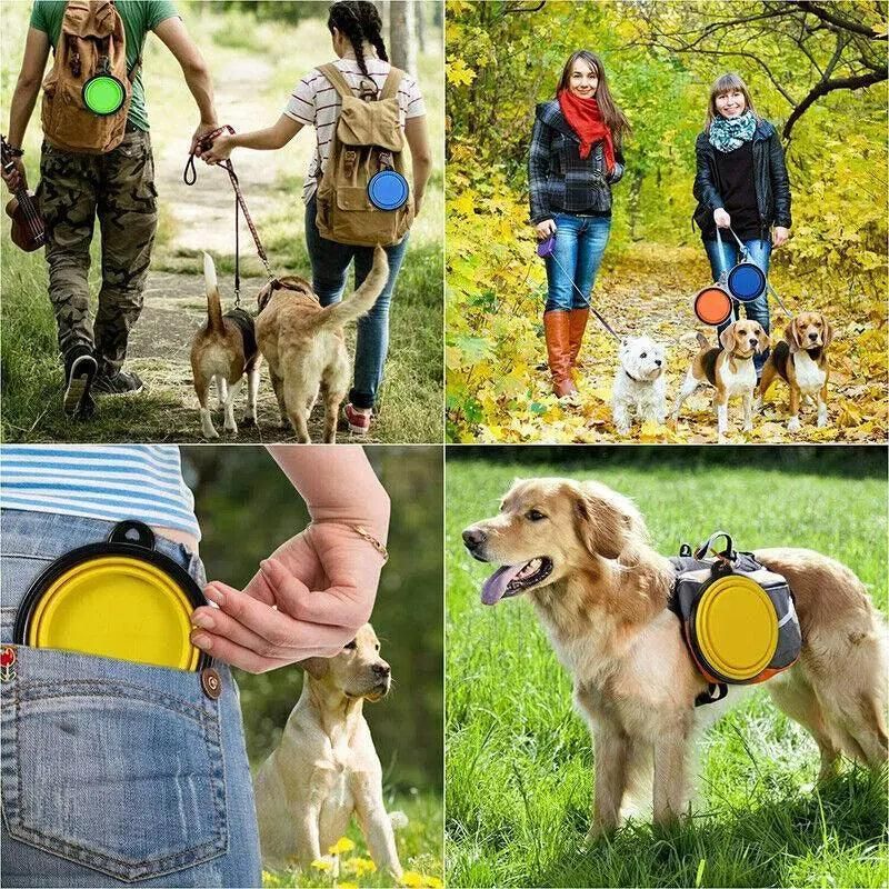 Foldable Silicone Pet Bowl Portable Travel Feeder for Dog and Cat - Red