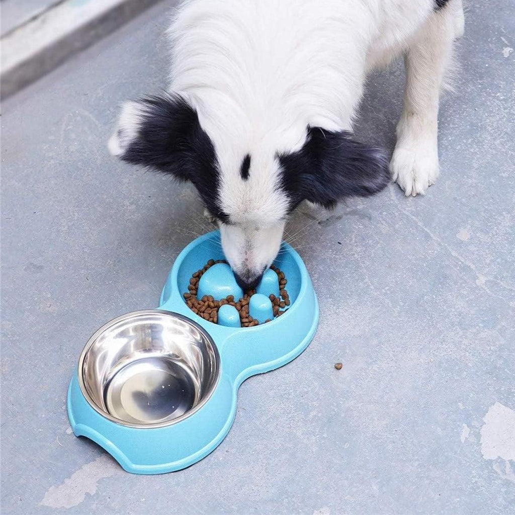 Dog Slow Feeder Double Bowl Pet Food and Water Dish - Blue