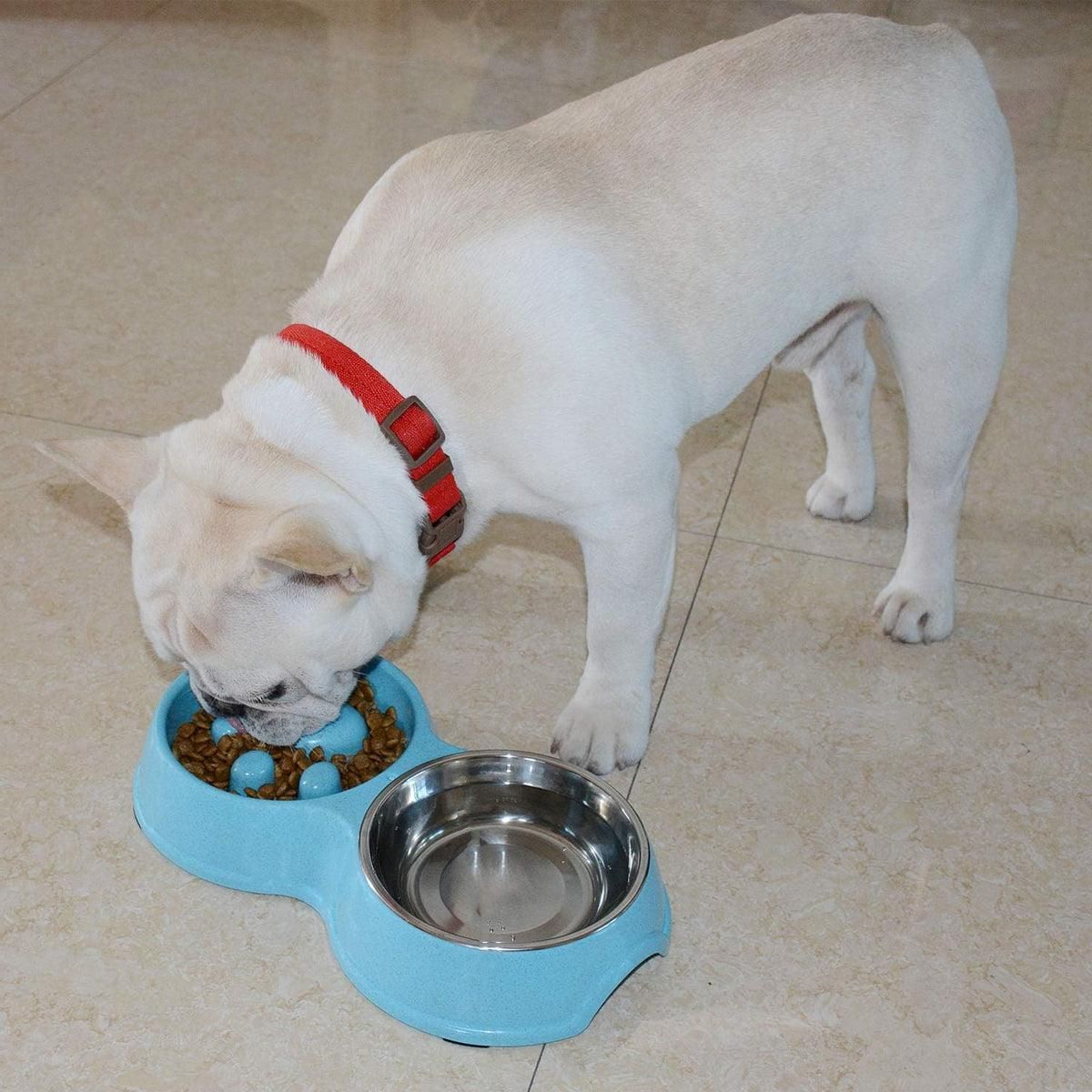 Dog Slow Feeder Double Bowl Pet Food and Water Dish - Blue
