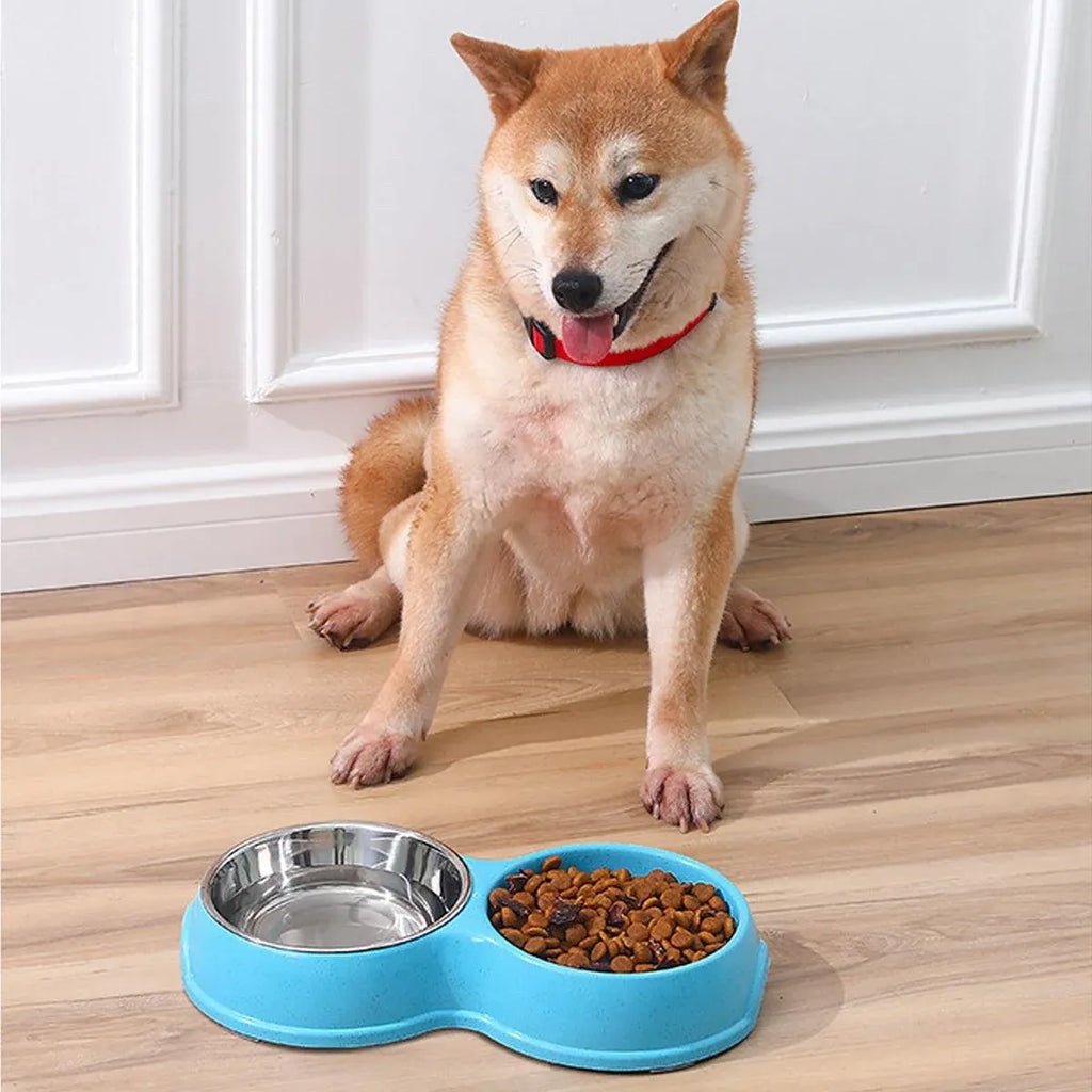 Dog Slow Feeder Double Bowl Pet Food and Water Dish - White