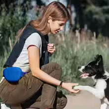 Blue Silicone Dog Training Treat Pouch with Adjustable Waist Belt Hands-Free Pet Reward Bag for Outdoor Walks